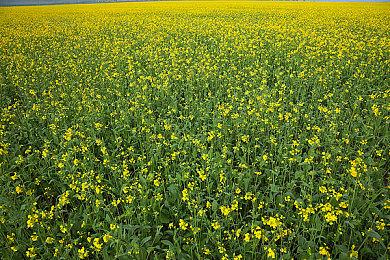 美国CTA报告警示玩家 游戏主机价格或因特朗普关税暴涨69%